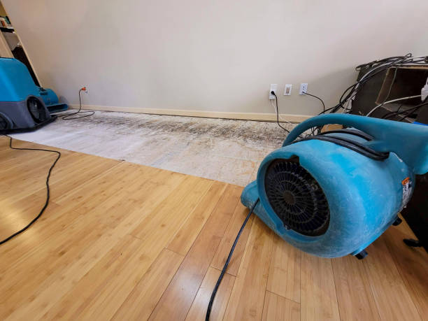 Professional Basement Flood Cleanup technician working in Simpson, PA
